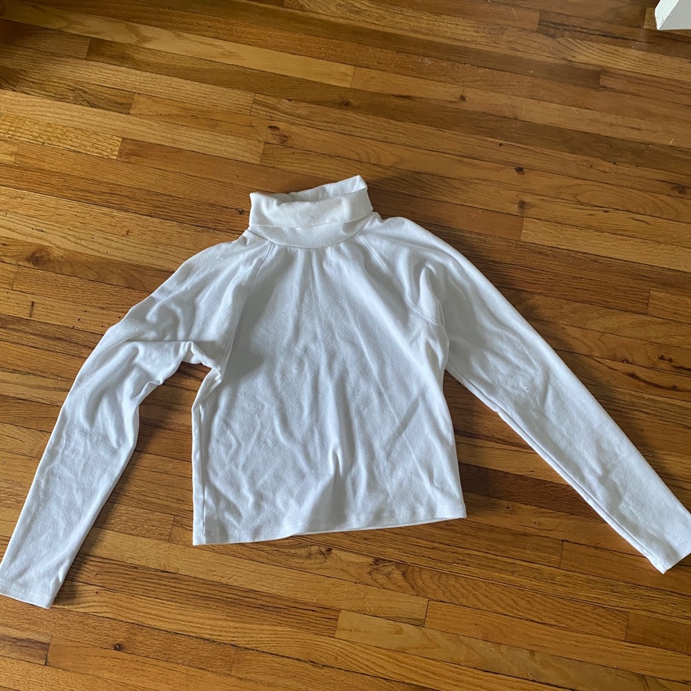 Sunday Best Aritzia Cropped Turtleneck